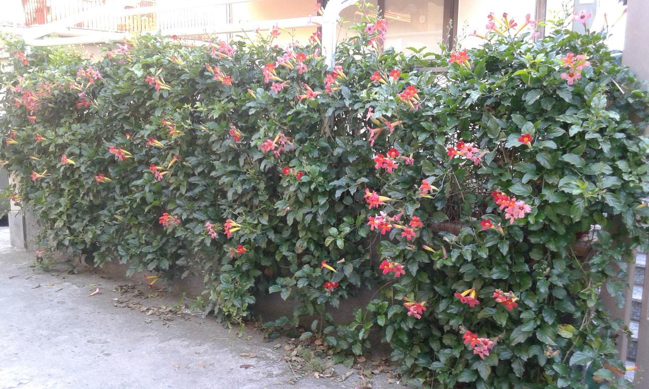 Bed and Breakfast Eurelios Adrano Exterior foto